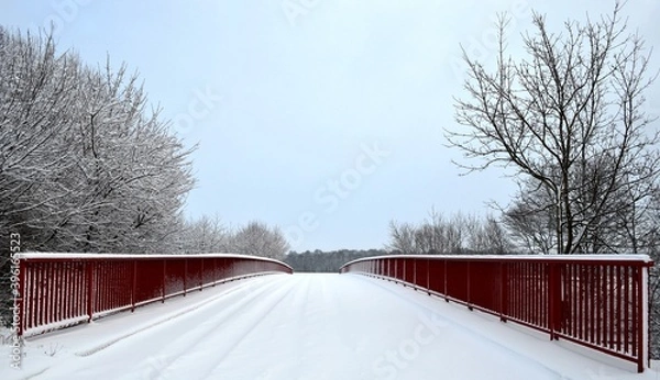 Obraz Rote Brücke im Winter