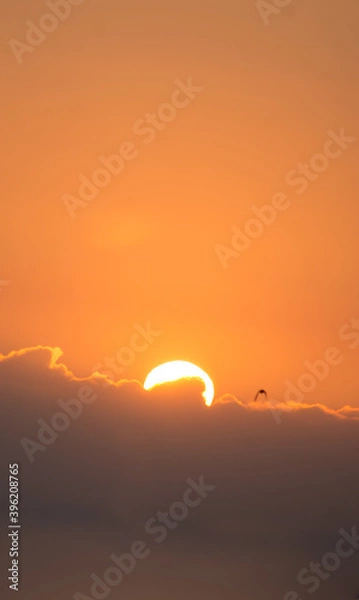 Obraz sunset in the sky