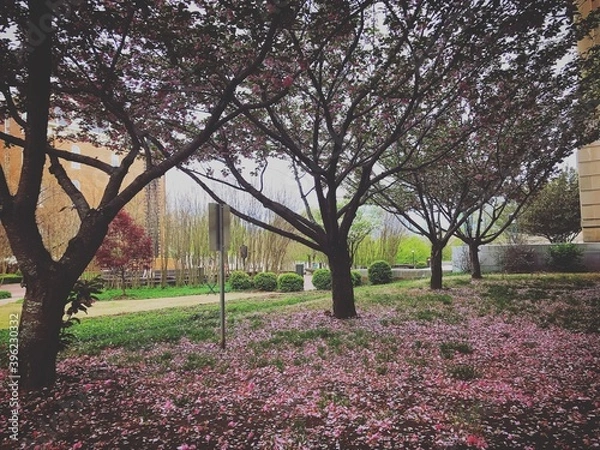 Obraz landscape, architecture, nature, mountains, scenery