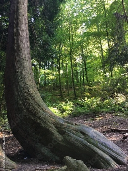 Obraz landscape, architecture, nature, mountains, scenery