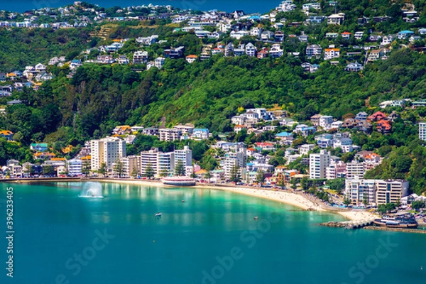 Obraz Wellington's inner city Oriental Bay beach and Mount Victoria viewed on a perfect summer's day from Tinakori Hill. 