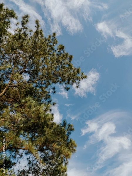 Obraz sky and clouds