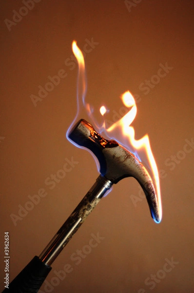 Fototapeta Flamin' Flatpack