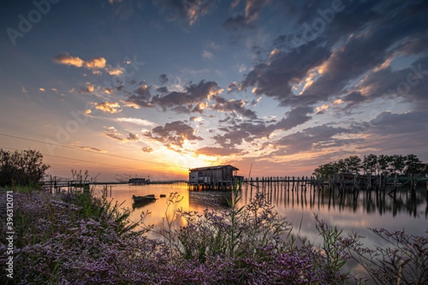 Obraz Esplosione di colori