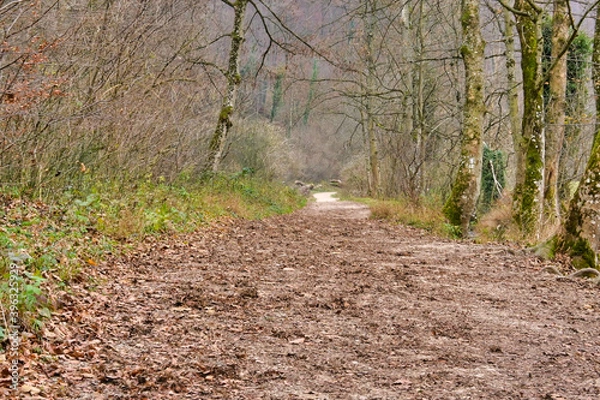Obraz Der Weg ins Ungewissse