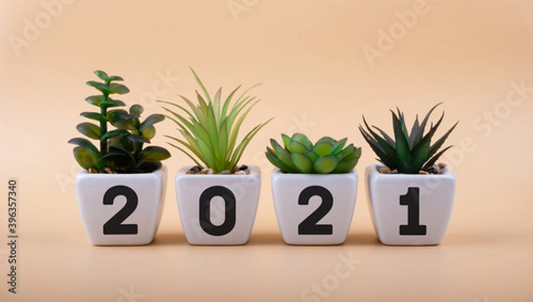 Obraz Inscription 2021 on white ceramic flowerpots with houseplants. New ideas in the new year. Merry Christmas and happy new year concept.