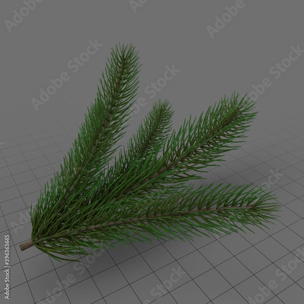 Obraz Firm Tree Branch 2