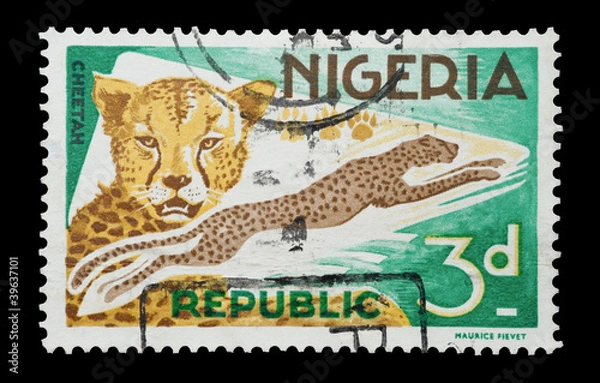 Fototapeta Nigerian mail stamp and leaping cheetah, circa 1965