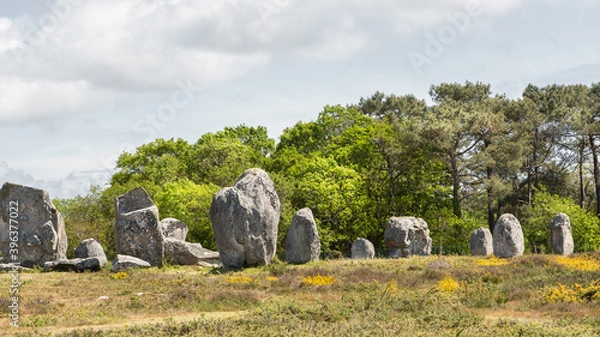 Fototapeta Paysage d'Alignement de Carnac en Bretagne