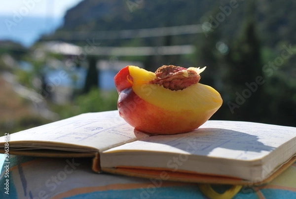 Obraz Peach and note