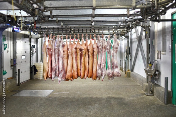 Fototapeta Pork carcasses hang on hooks in the meat industry