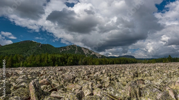 Fototapeta scattering of stones with forest and high hills