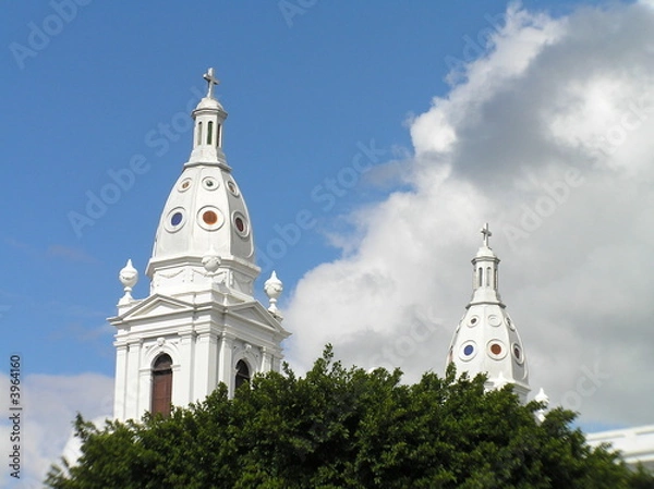 Obraz OLYMPUS DIGITAL CAMERA