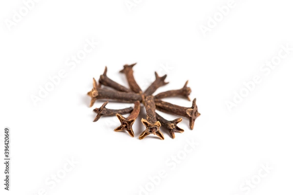 Fototapeta Dry Organic Clove Spice isolated on a white background