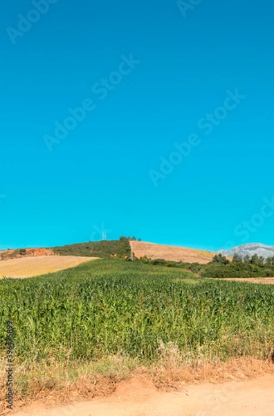 Obraz landscape in the mountains