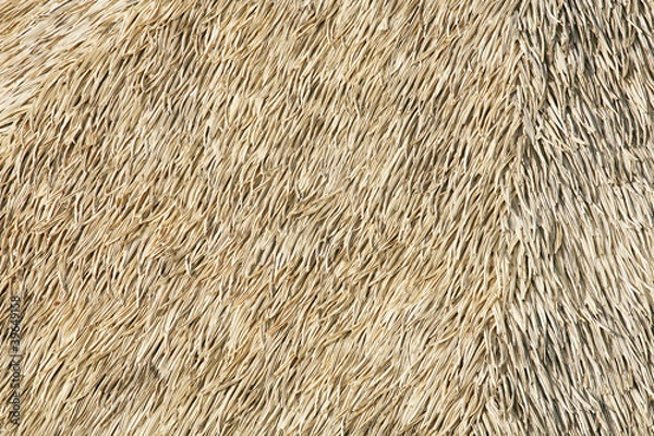 Fototapeta thatch background