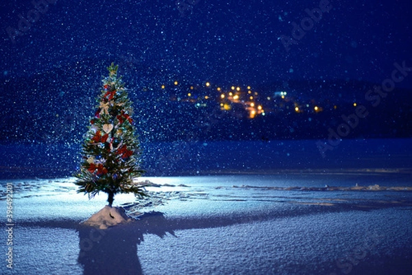 Obraz New Year's Tree at Night