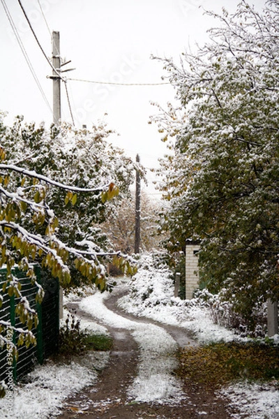 Obraz windmill in the snow