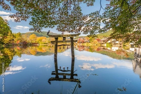 Fototapeta 湯布院金鱗湖