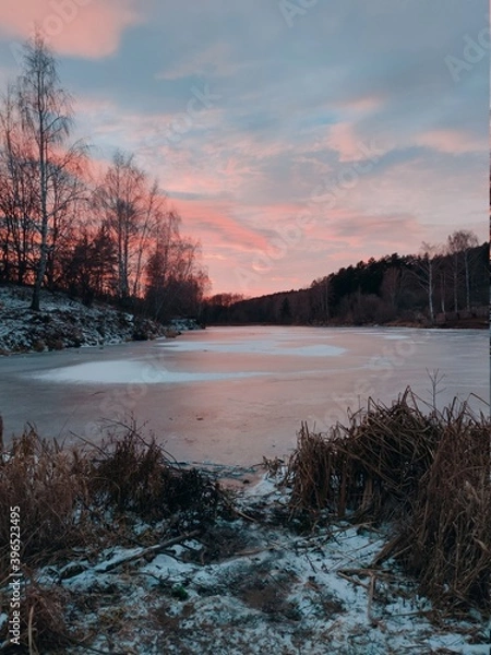 Fototapeta frozen pond near the forest against the background of sunset in the evening landscape