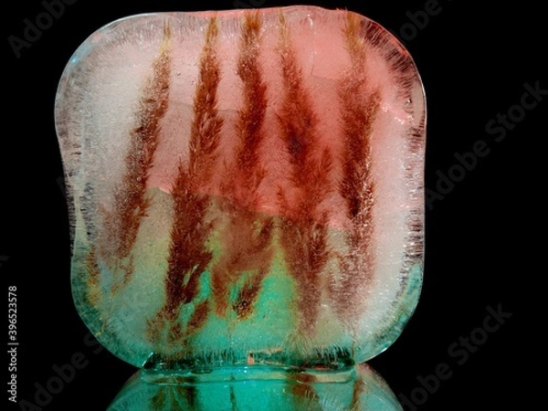 Fototapeta spikelets of dry grass frozen in ice in abstract and creative macro photo