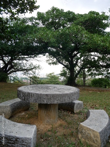 Obraz 森の中の石ベンチ