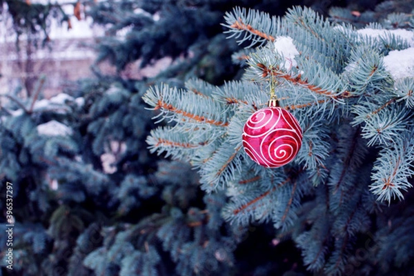 Obraz Red Christmas ball hanging on fir branches in winter, close-up with empty space for text, greeting card concept