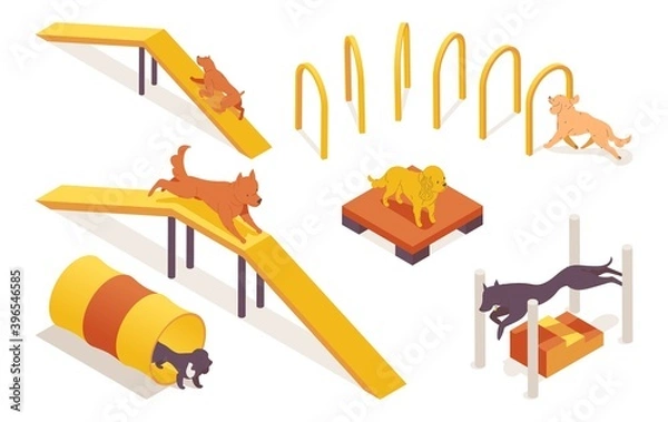 Obraz Isometric collection of dogs training on pet agility equipment elements. 3d characters running, jumping and climbing