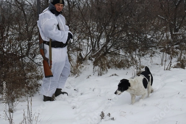 Fototapeta person with dog