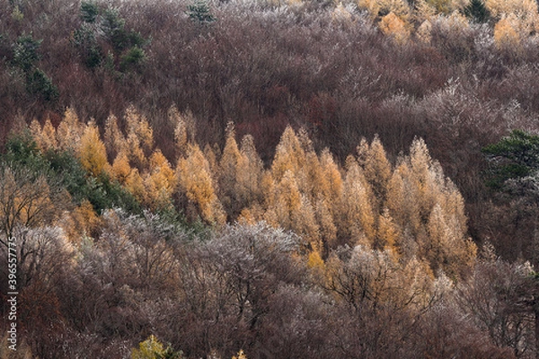 Obraz autumn in the mountains