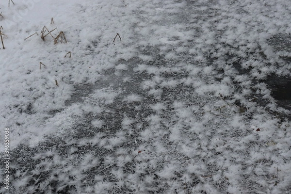 Fototapeta snow on the ground