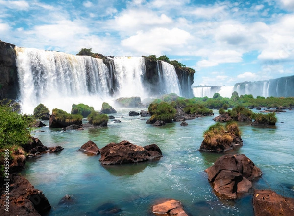 Fototapeta waterfall in the forest iguazu falls 