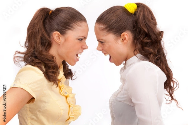 Fototapeta Gemini sisters quarrel on a white background
