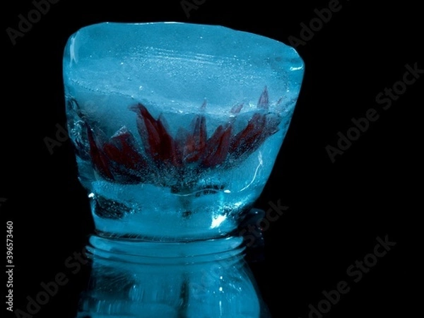 Fototapeta red flower in blue ice in abstract macro photography