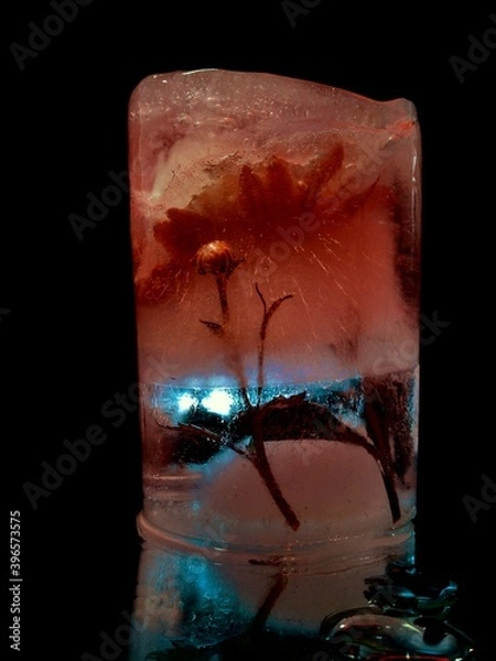 Fototapeta a graceful flower frozen in ice in creative and abstract photography