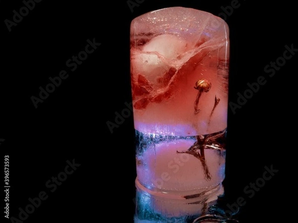 Fototapeta ice swallowed lovely flower in creative and abstract photography