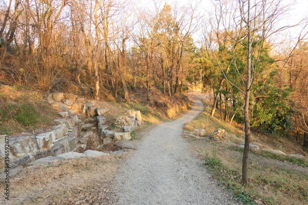Obraz A park along the Jinju River