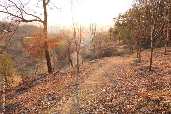 Obraz A park along the Jinju River