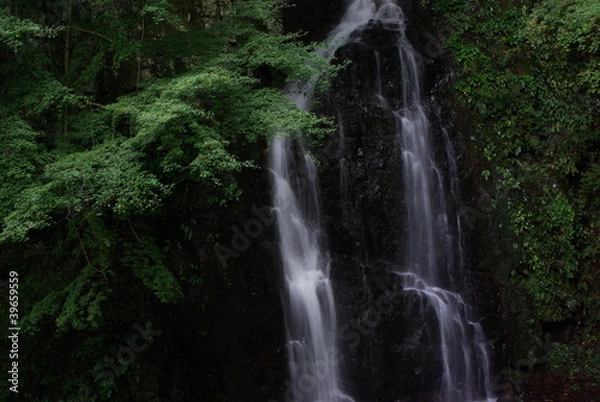 Fototapeta 轟の滝（香川県まんのう町）