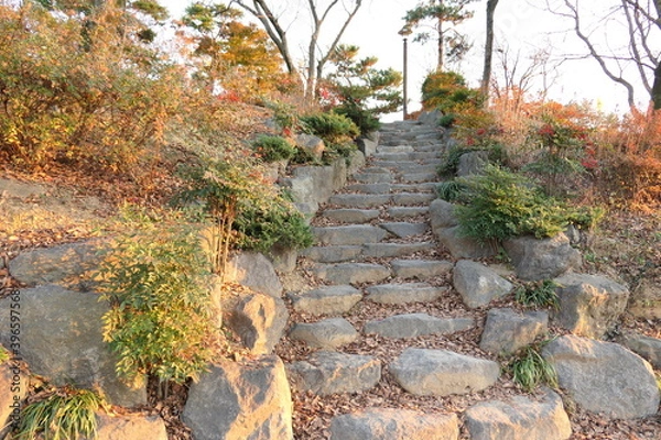 Obraz A park along the Jinju River