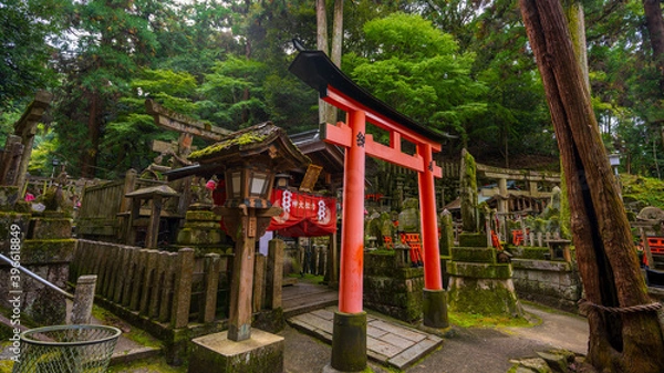 Fototapeta 伏見稲荷大社