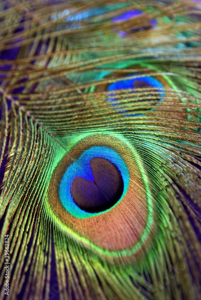 Obraz Naturschönheit