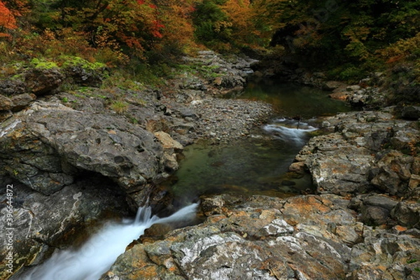 Obraz 秋田県　紅葉の小安峡