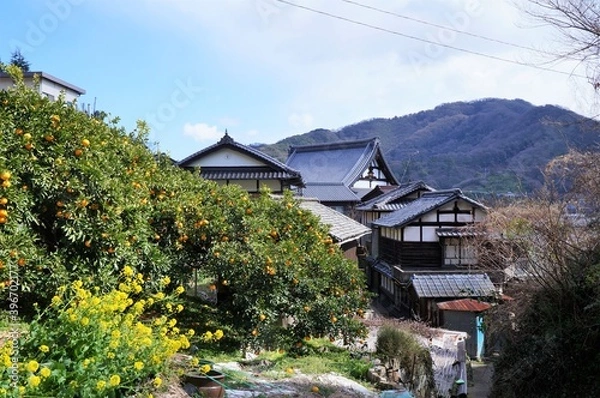 Obraz 広島県豊島・小野浦の町並み