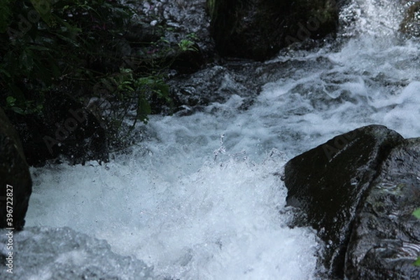 Obraz heavy water flow in a forest