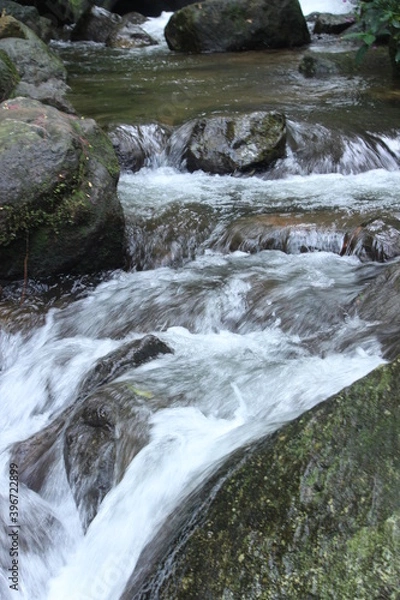 Obraz heavy water flow in a forest