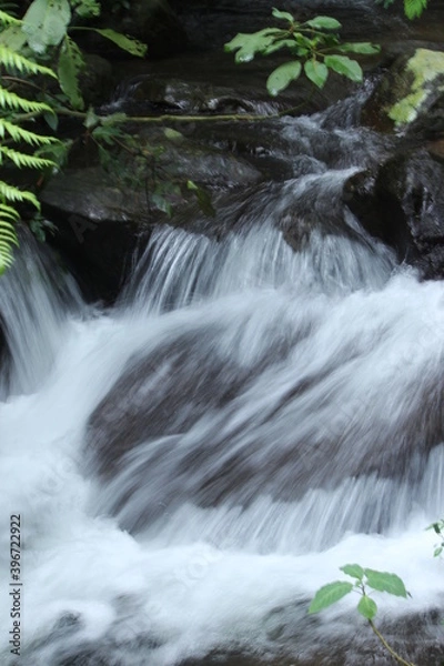 Obraz heavy water flow in a forest