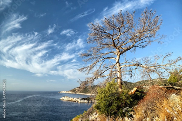 Obraz View of the bays of the Mediterranean Sea from the Lycian Way in Turkey.