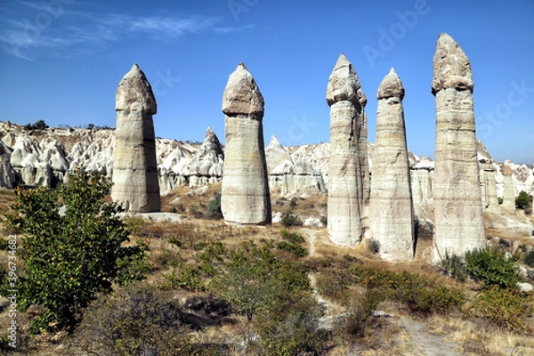 Obraz Unusually shaped cliffs of volcanic origin in the Love Valley in the Cappadocia region in Turkey.