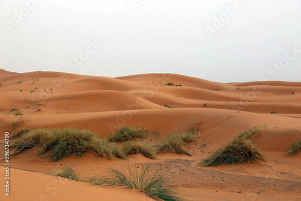 Obraz Sand dunes in the Sahara Desert near the village of Merzouga in Morocco.